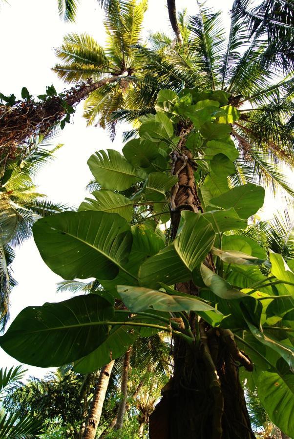 Bhakti Kutir Hotel Palolem Buitenkant foto